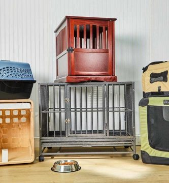 Which dog crate is perfect for your dog